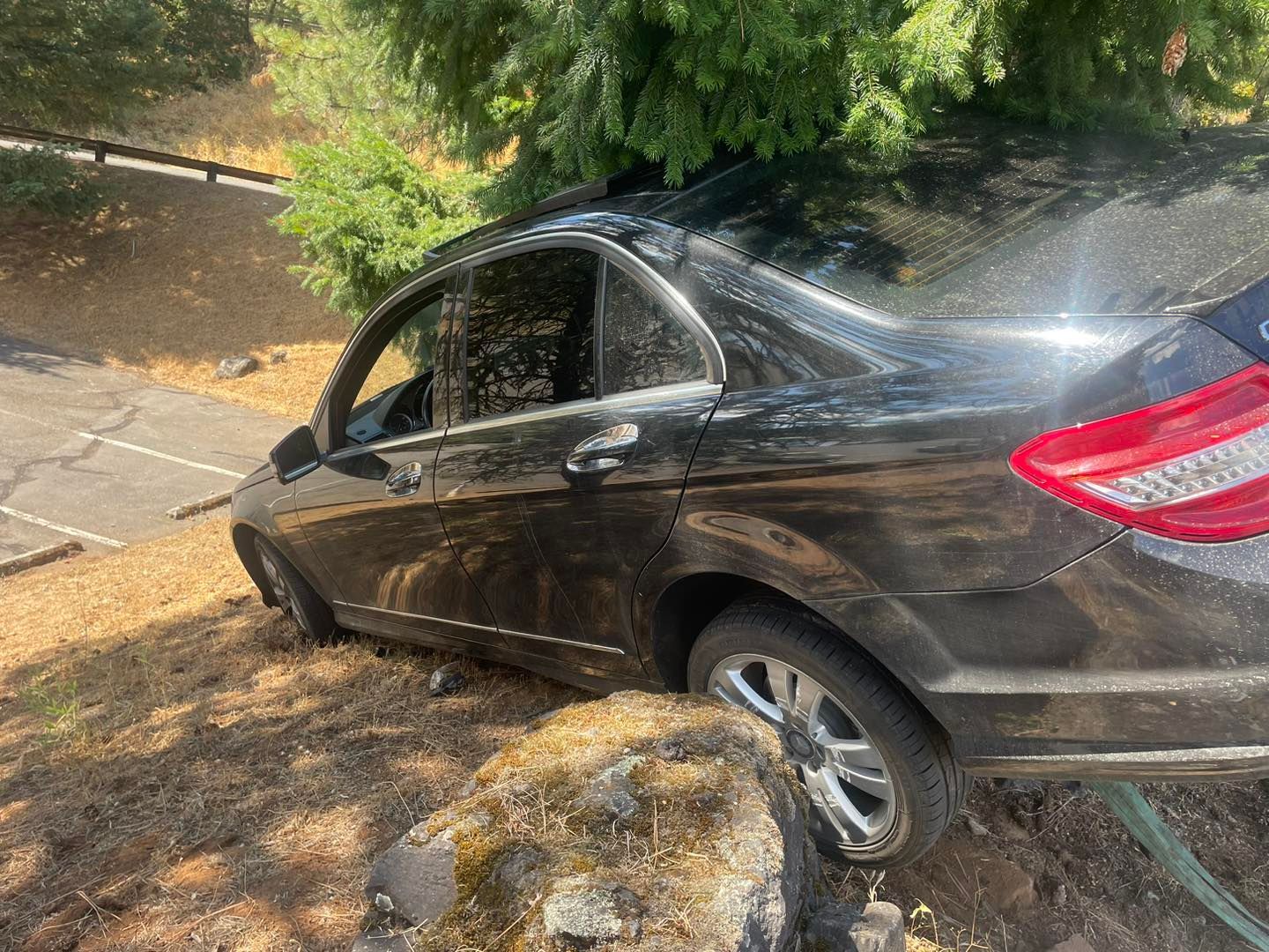 A black car is sitting on top of a rock next to a tree.