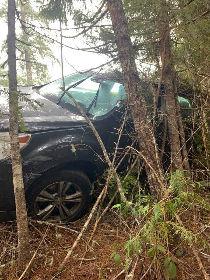 A car that has crashed into a tree in the woods.