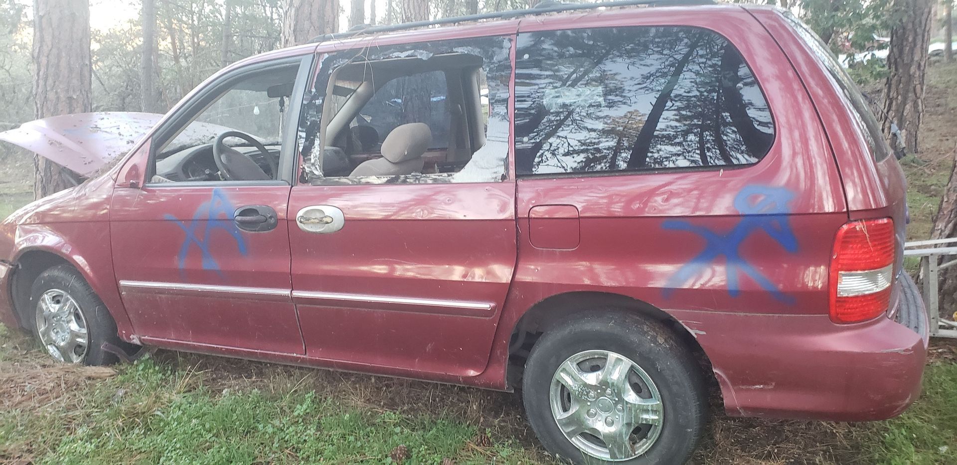 A red minivan is parked in the grass in the woods.
