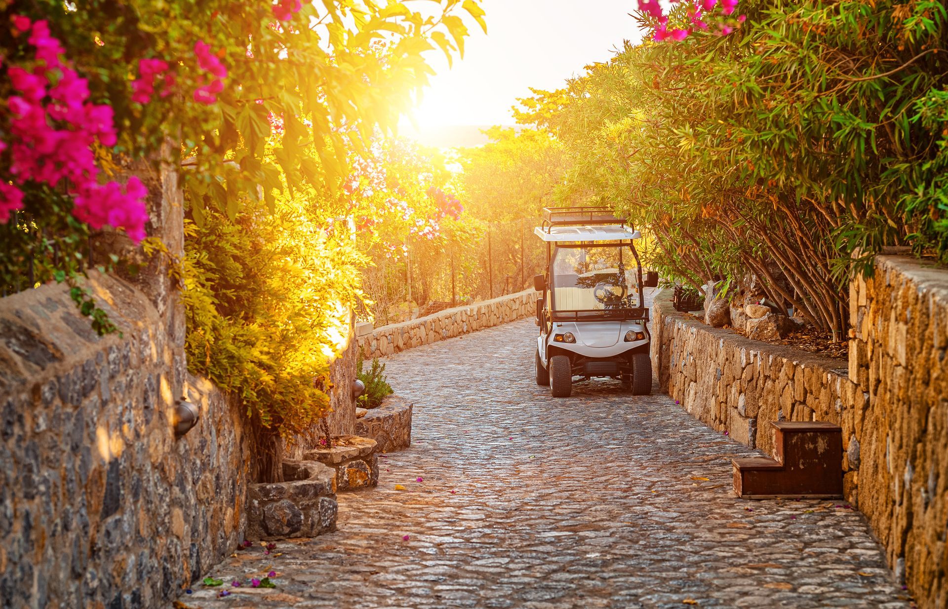 Sunlit cobblestone lane with stone walls, flowering vines, and a small cart at the end of the path