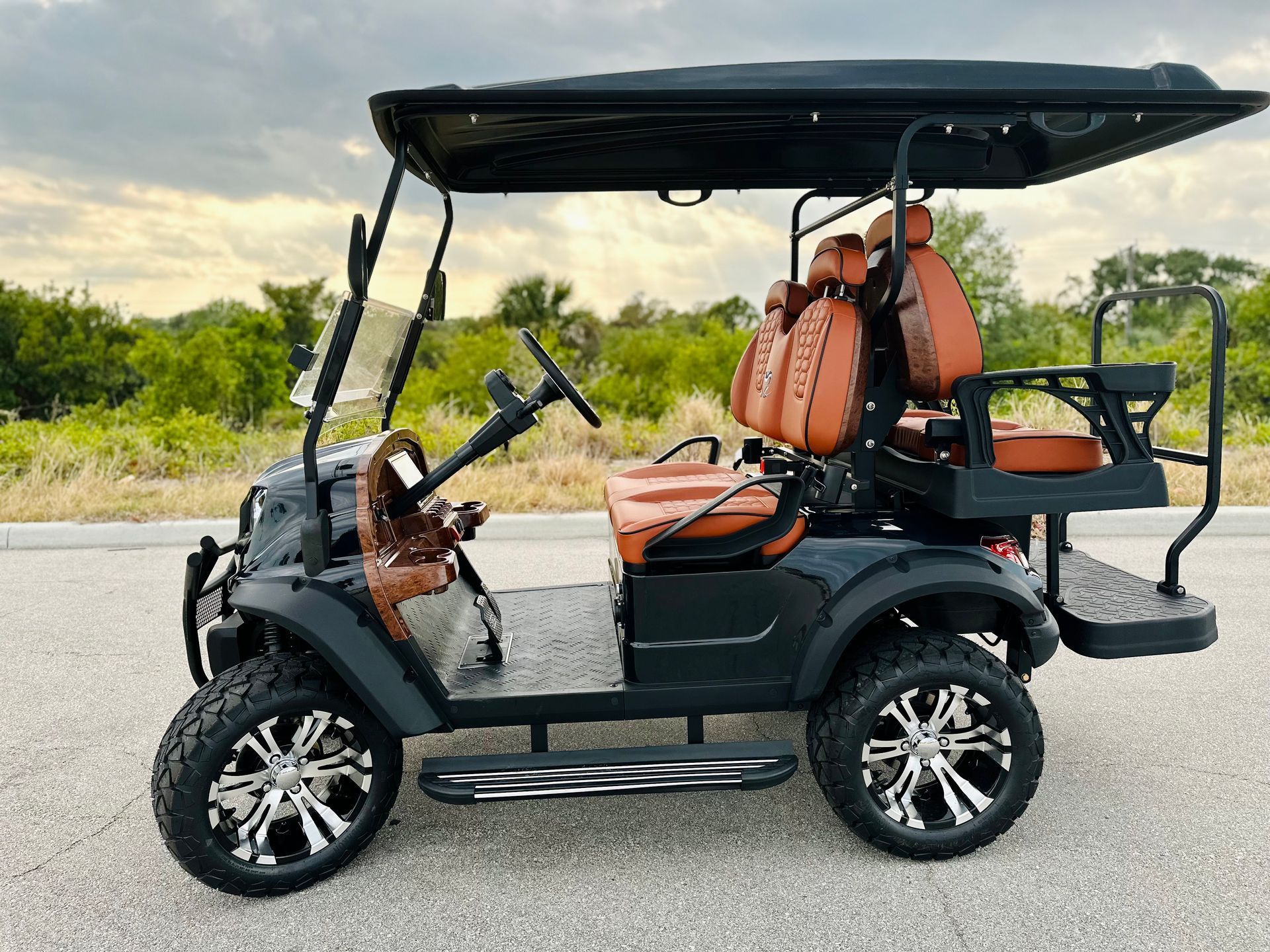 Black golf cart with tan seats and canopy parked on a roadside beside greenery.