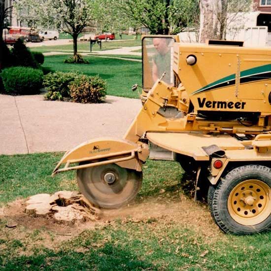 Stump Removal — Stump Grinder Removing Stump in Louisville, KY Stump Removal — Stump Grinder Removing Stump in Louisville, KY
