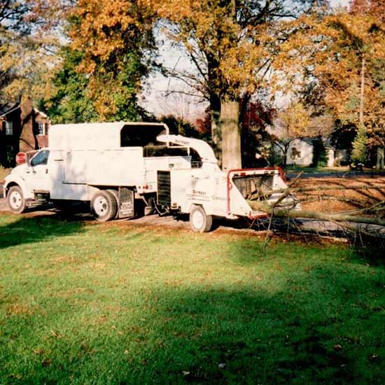 Tree Disposal — Trees on Truck in Louisville, KY
