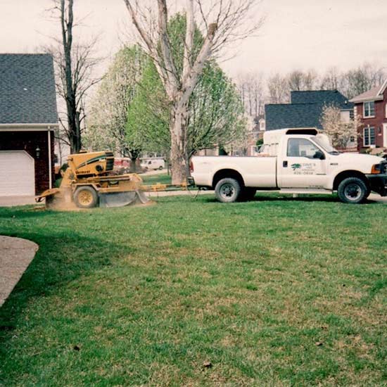 Tree Grinder — Tree Grinding Machine and Truck in Louisville, KY
