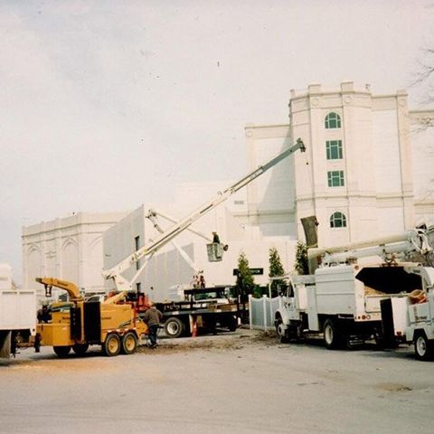 Arborists — Trucks in Front of White Building in Louisville, KY