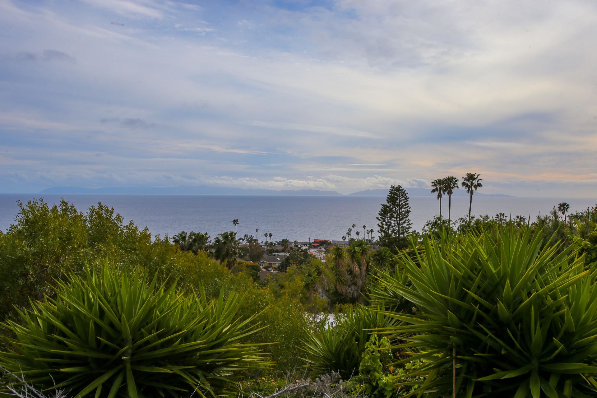 View of Catalina Island