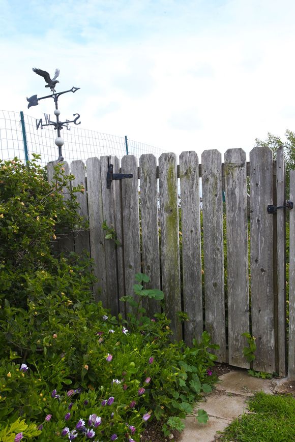 Backyard Gate