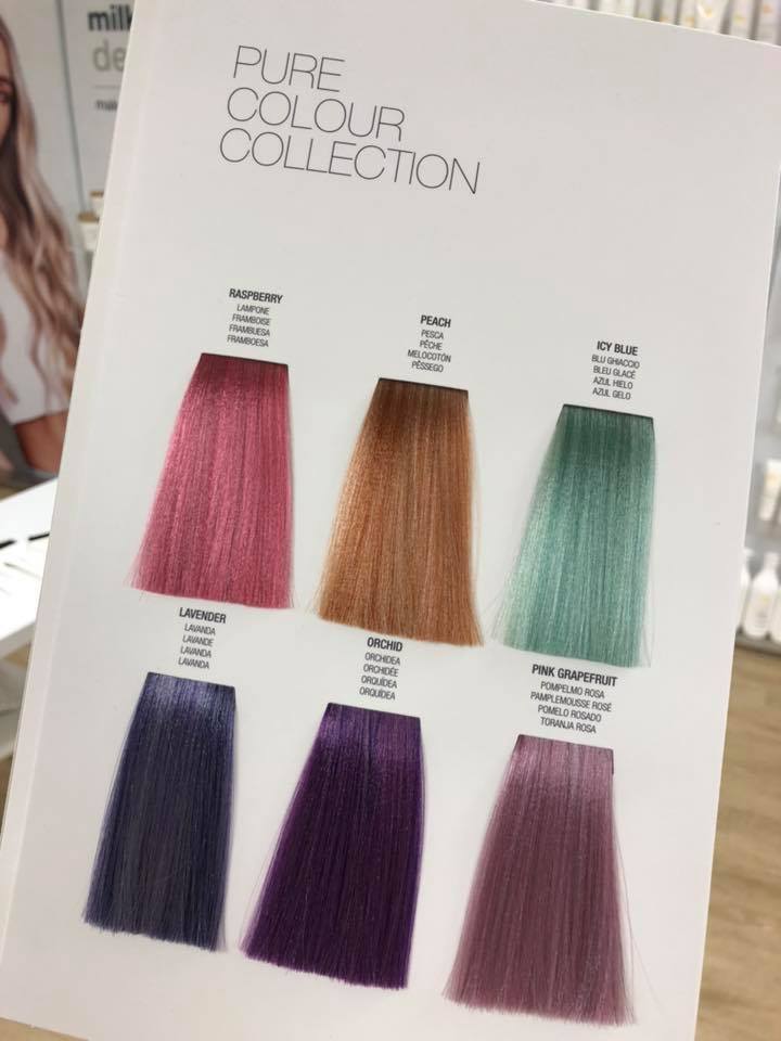 Una mujer sostiene un folleto que dice colección de colores puros.