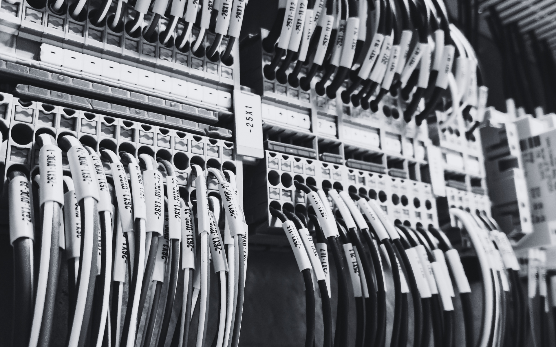 Rows of hanging baseball bats with price tags in a store display, in black and white.