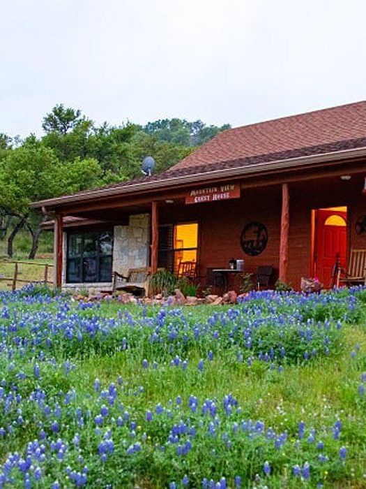 A house with a porch and a field of blue flowers in front of it.