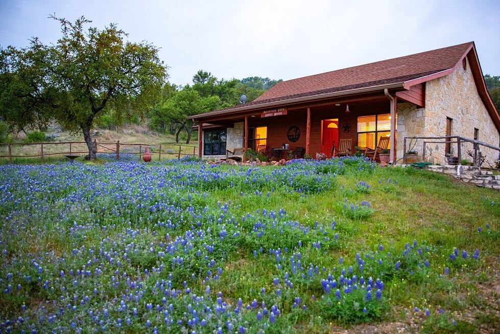 There is a house in the middle of a field of blue flowers.