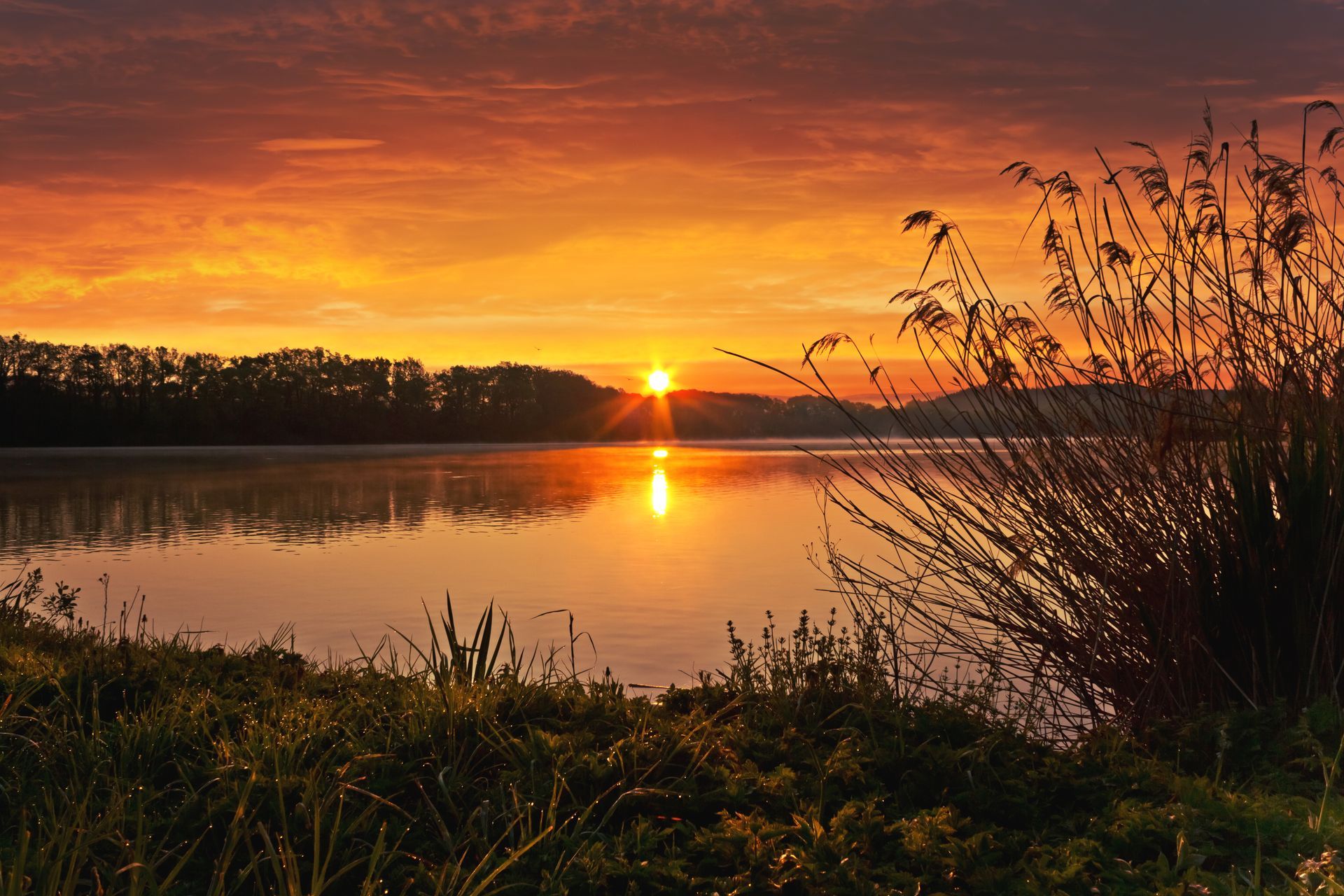 The sun is setting over a lake with trees in the background.