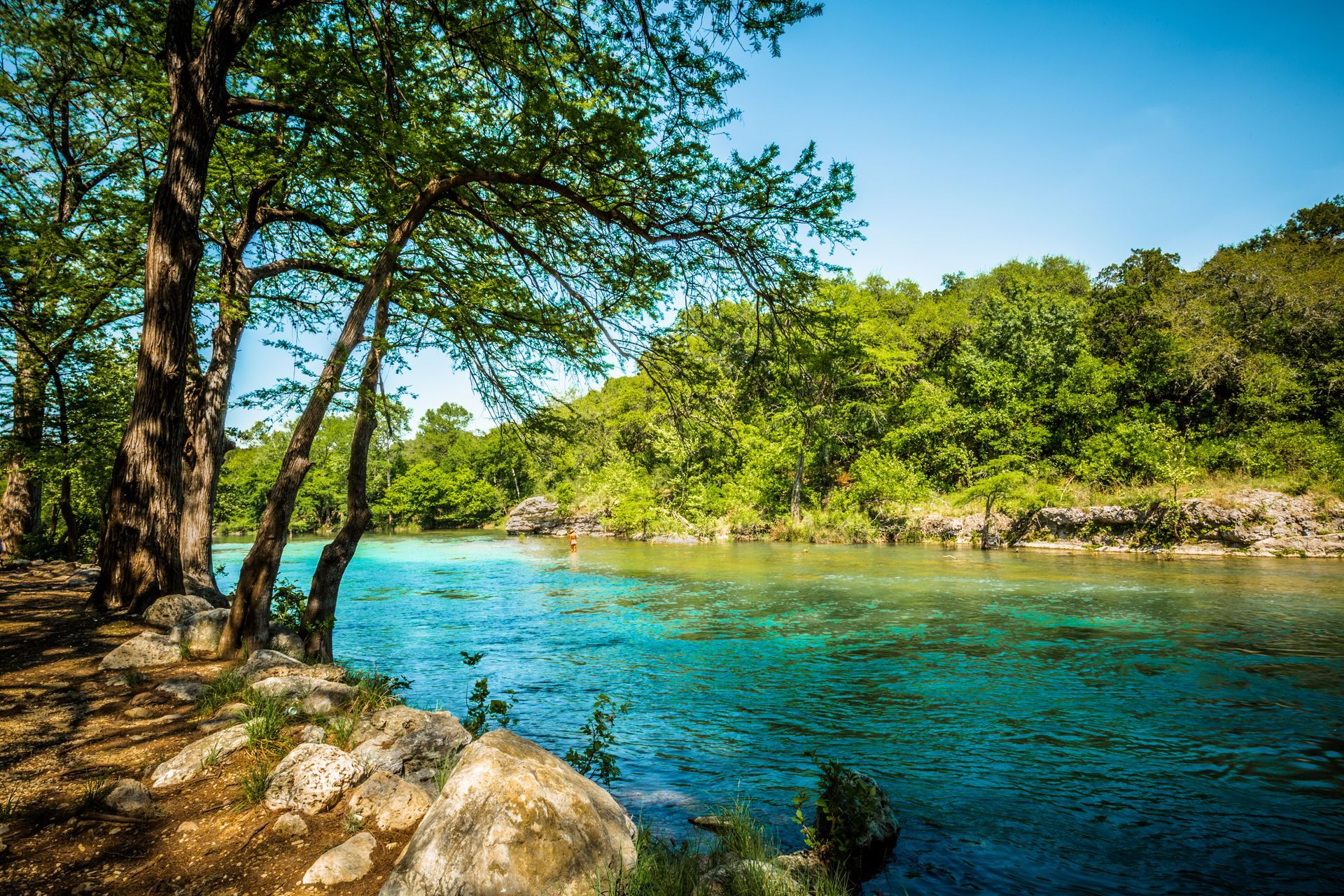 A river surrounded by trees and rocks on a sunny day.