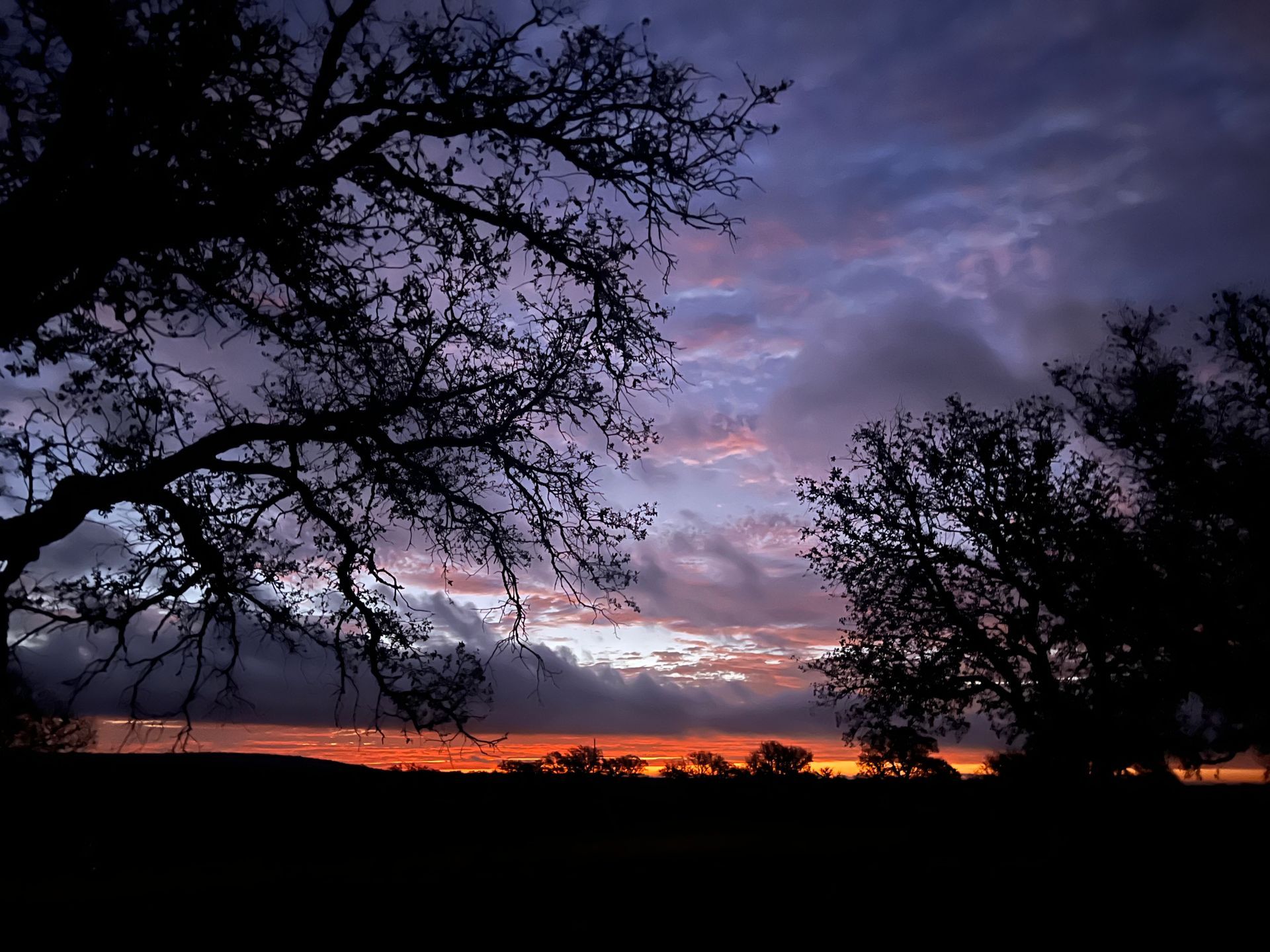 A tree silhouetted against a cloudy sky at sunset
