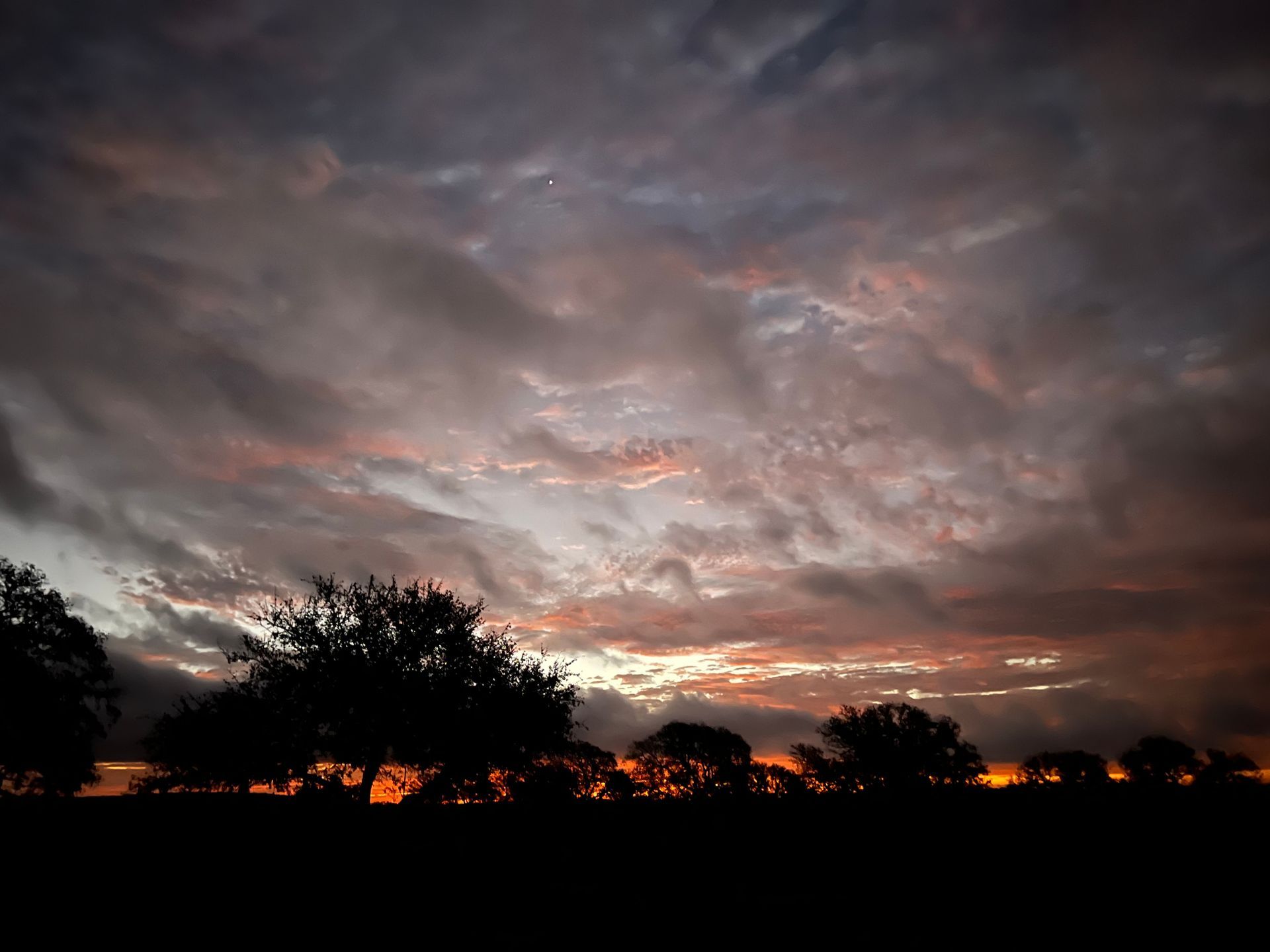 A sunset with trees in the foreground and clouds in the background