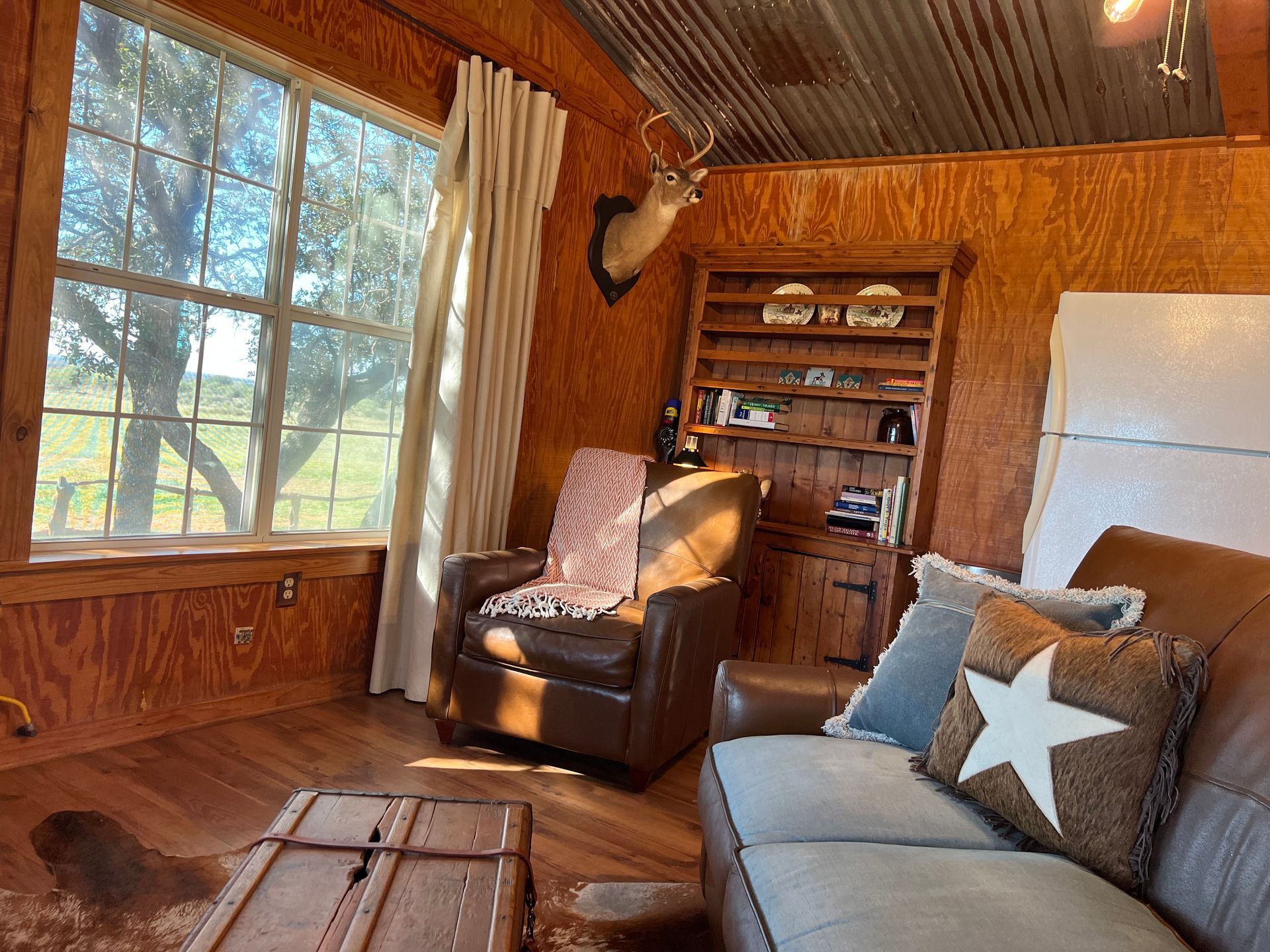 A living room with a couch , chair , and deer head on the wall.