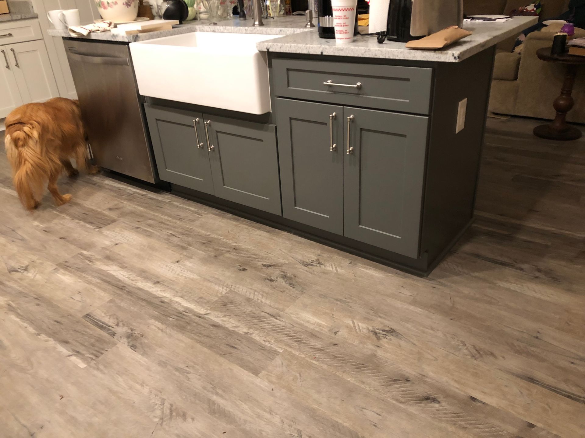Golden retriever dog near a kitchen island with a farmhouse sink and gray cabinets.