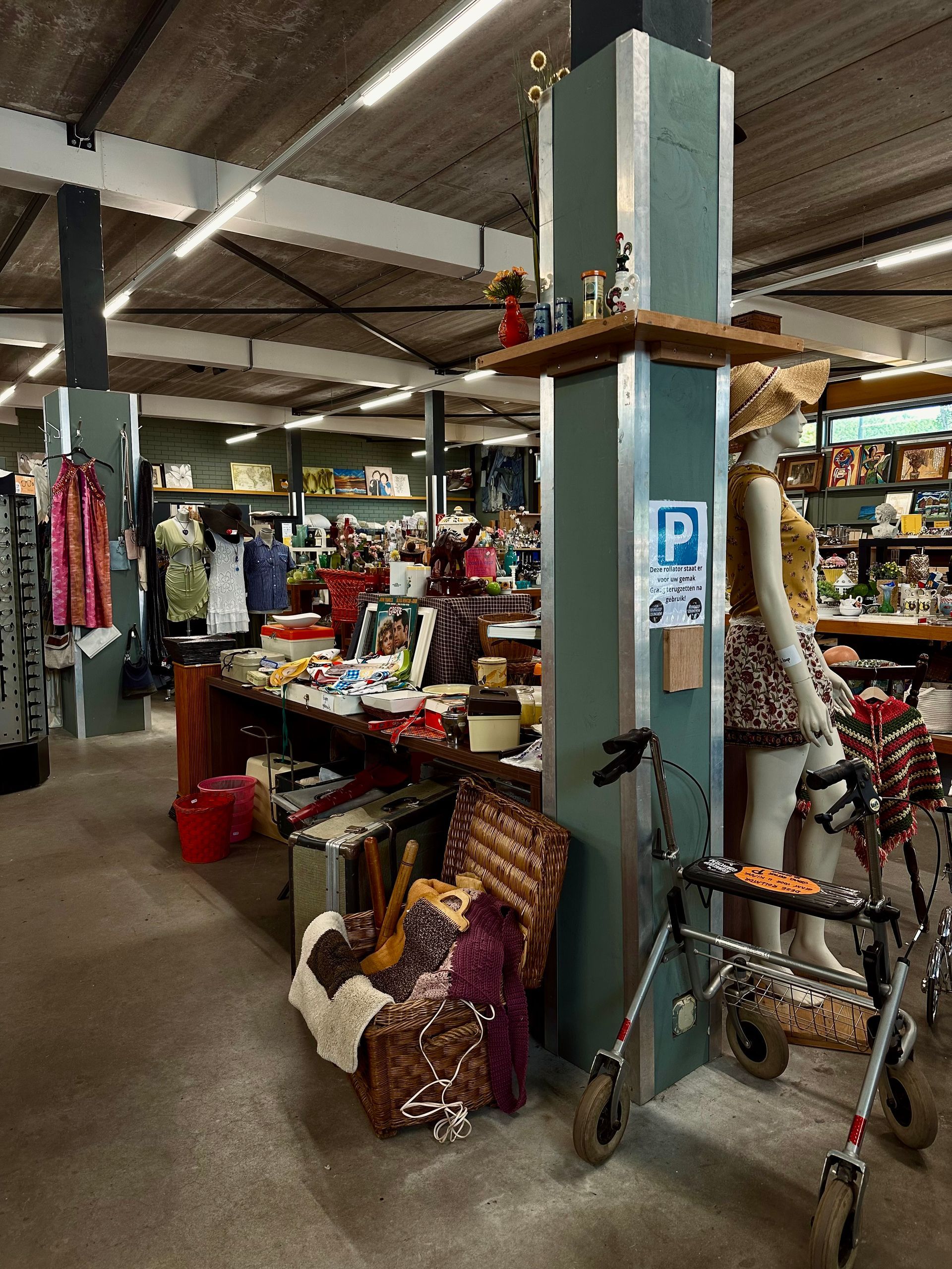 Schappen in een winkel vol glaswerk, met een gele muur en een raam op de achtergrond.