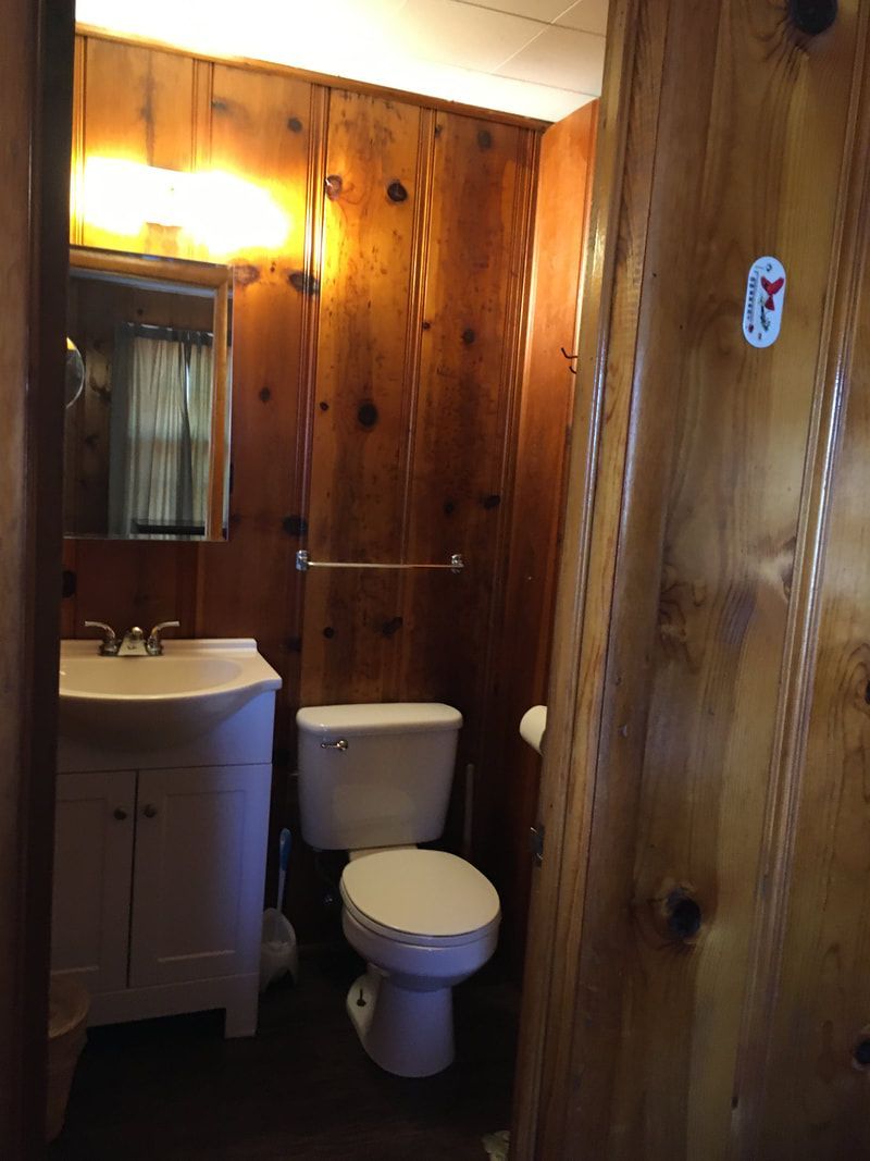 A bathroom with a toilet a sink and a mirror