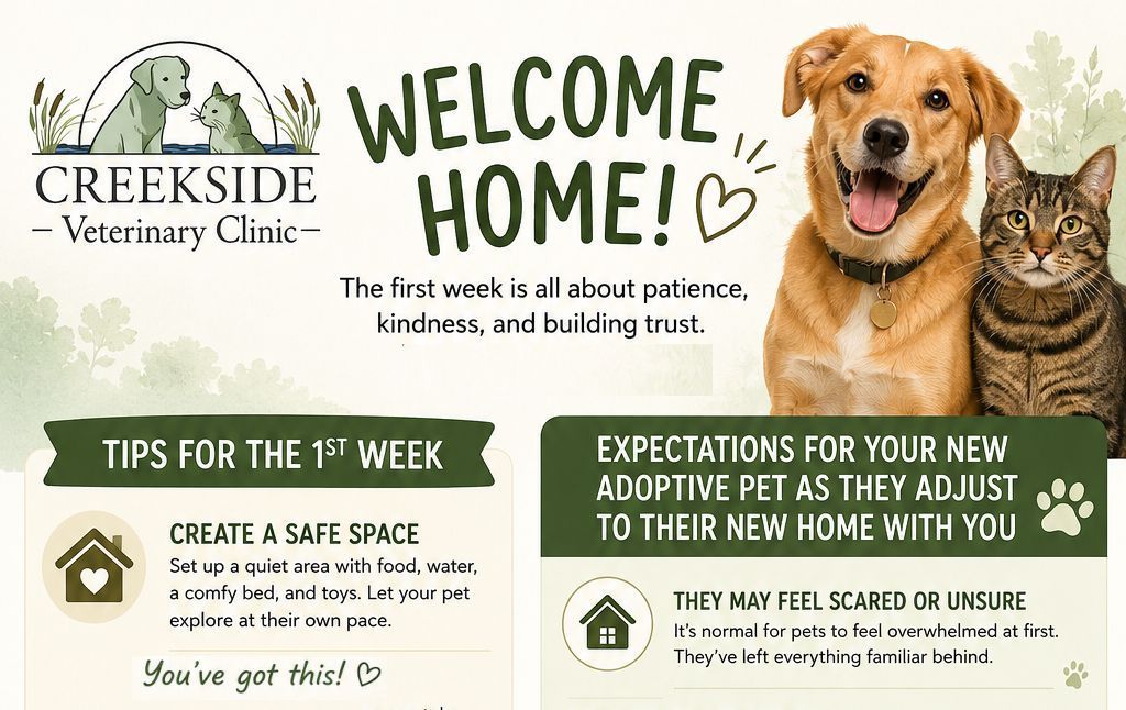 Adopted pups and kittens and Creekside