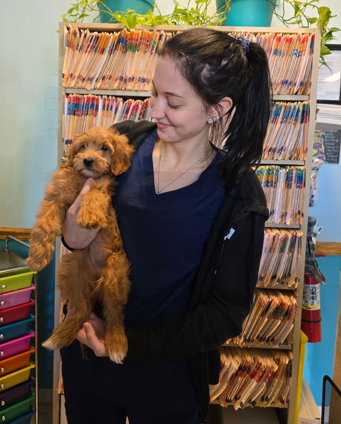 Jessica, our newest Vet Tech