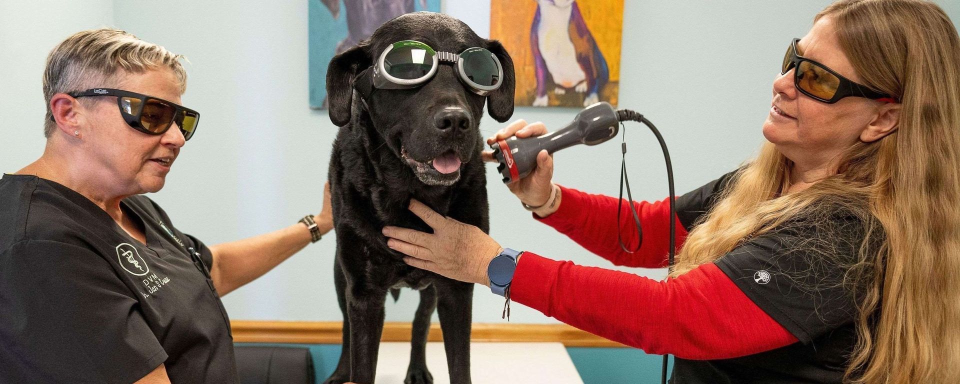 Laser Therapy - also available in package treatments