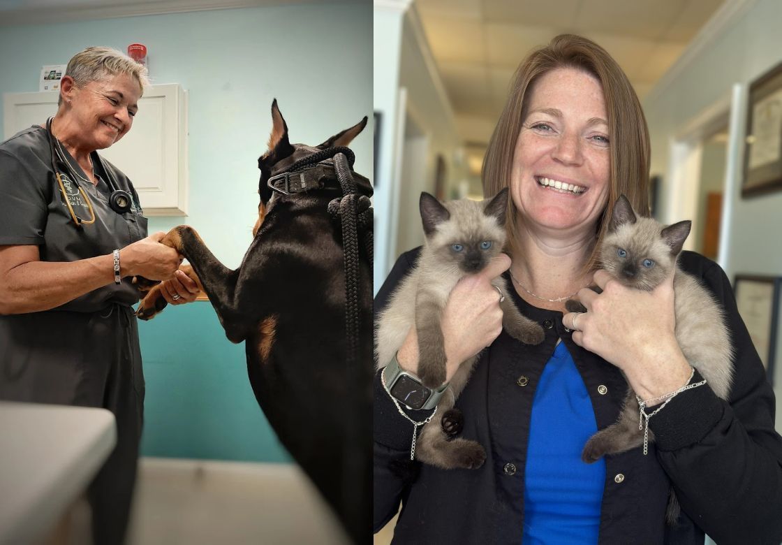 Dr. Crowe  and Amanda Smith. LVT/VP of Admin