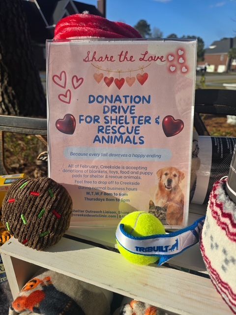 Share The Love Donations 