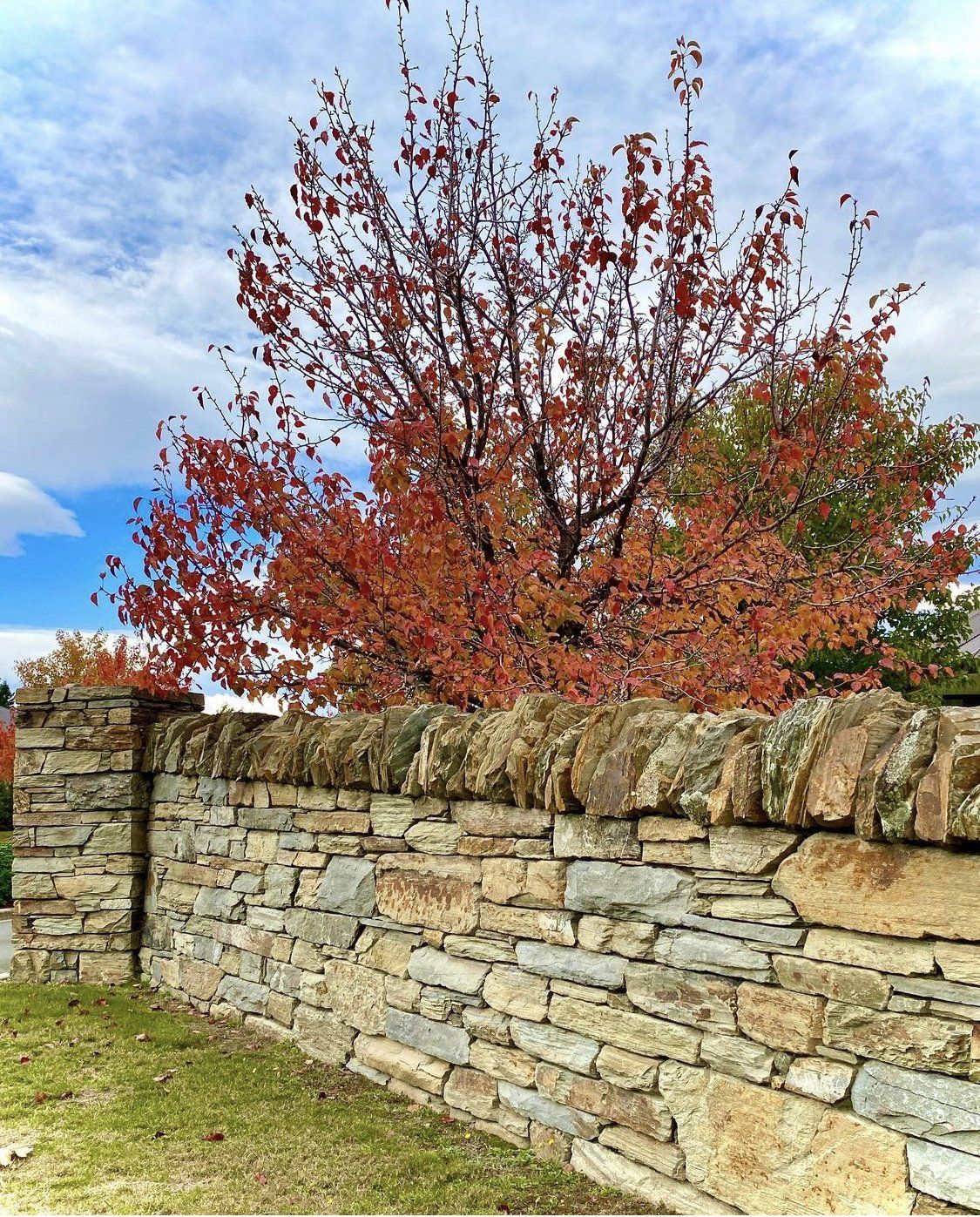 Alexandra schist wall