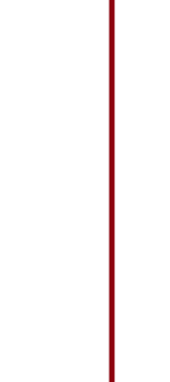 Red Vertical line