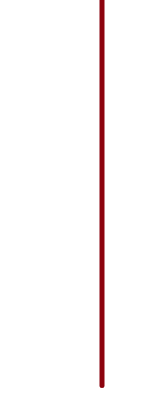 Red Vertical line