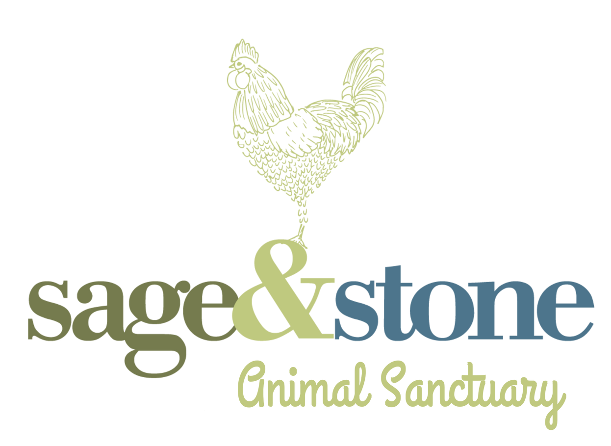 Sage&Stone Animal sanctuary 