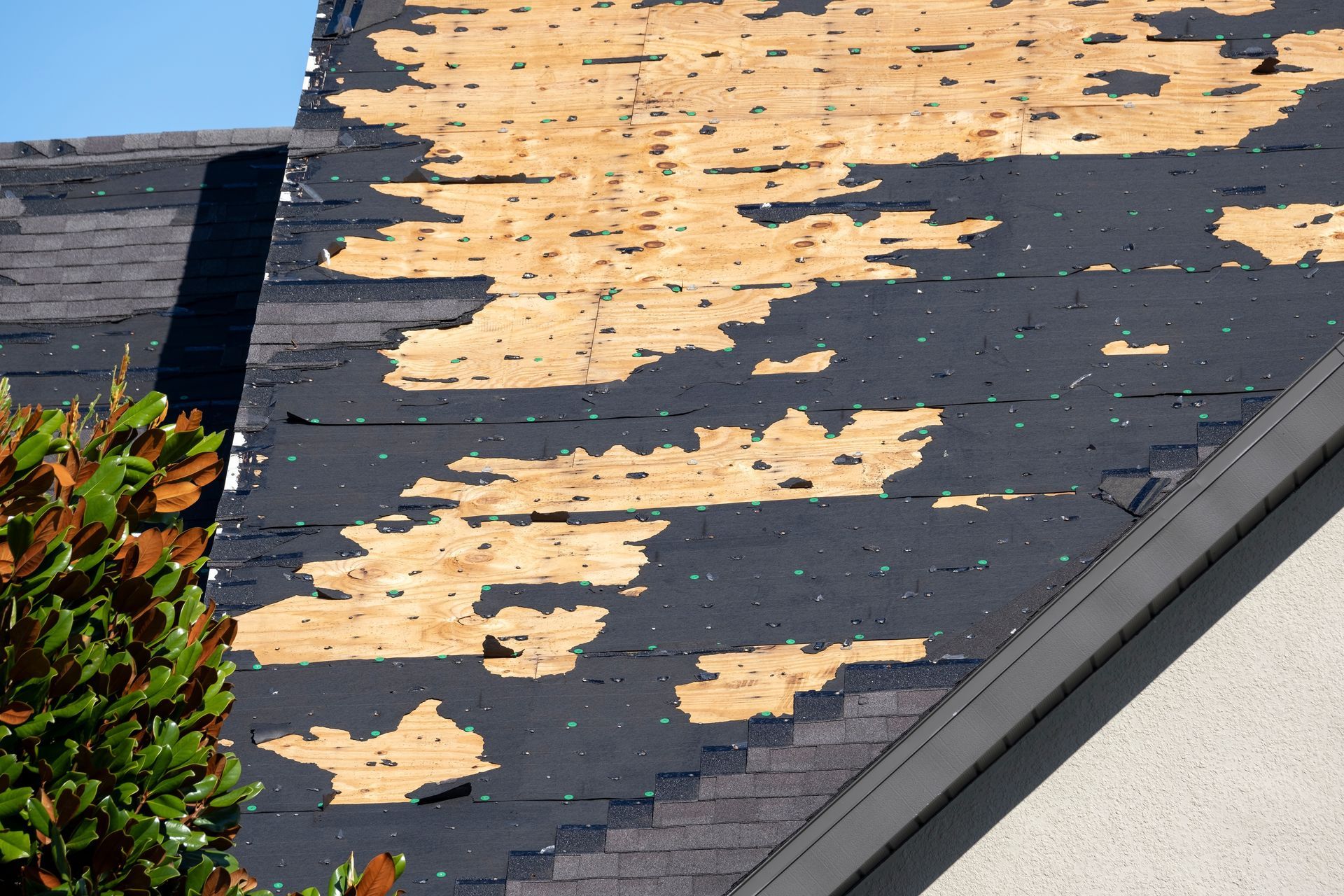 Damaged asphalt shingle roof, with missing patches exposing the wood beneath.