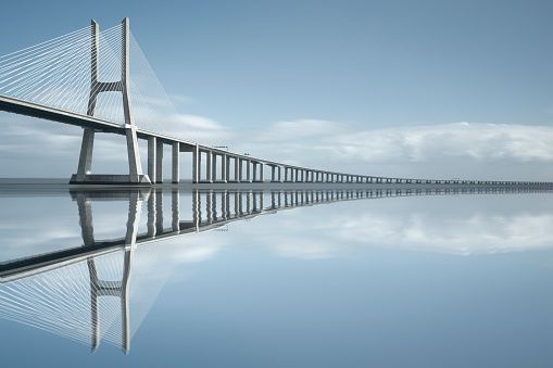 Bridging the Market Access Gap