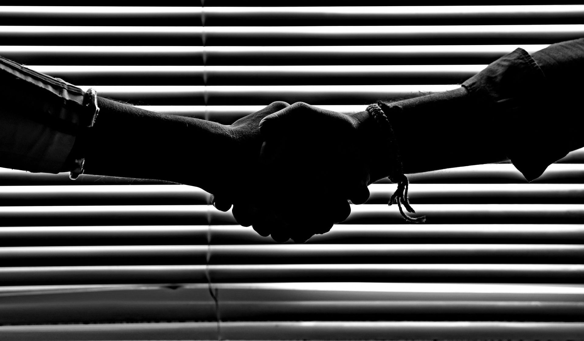 LSI partnership