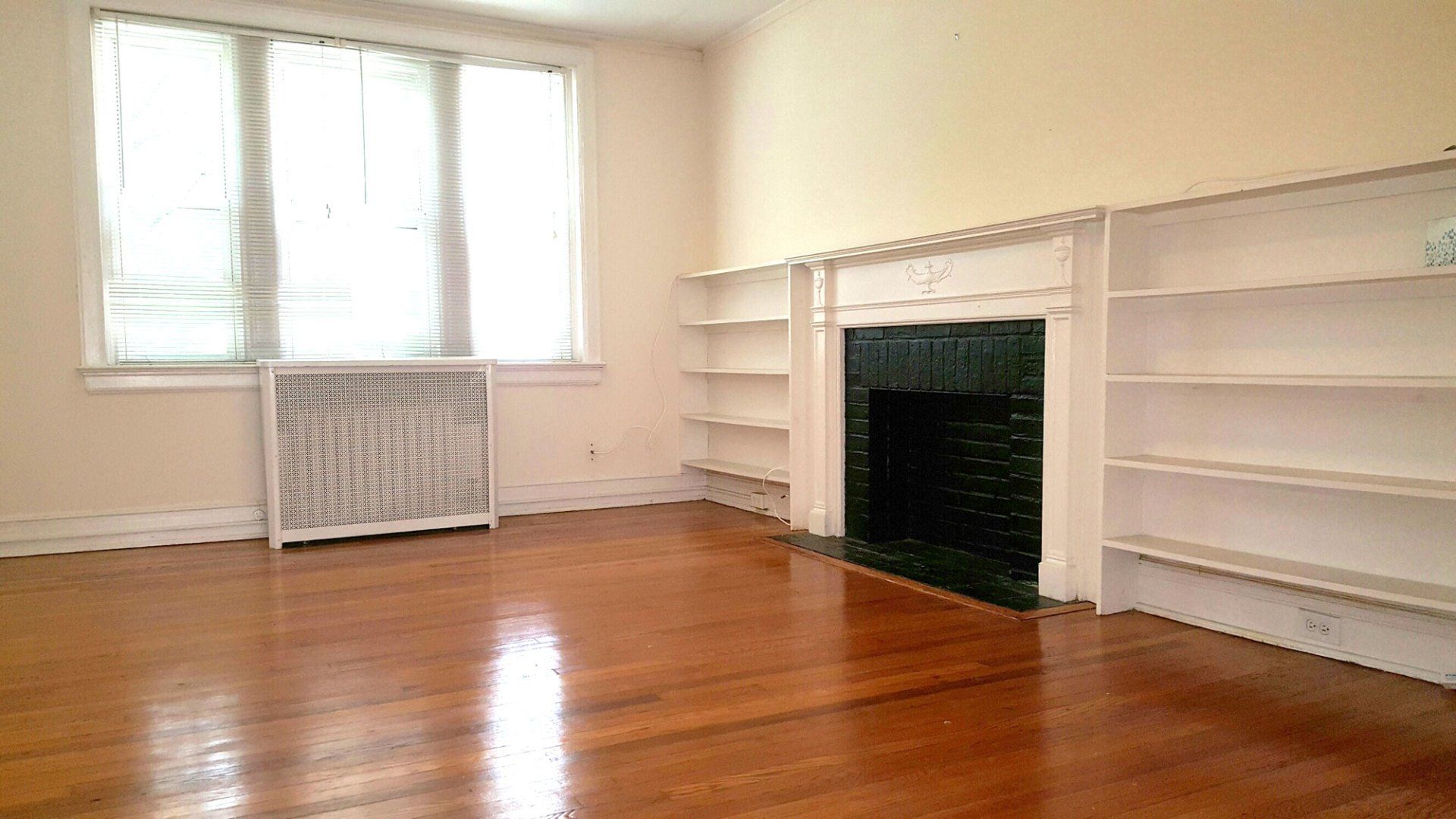 Living Area | The Carolina Apartments