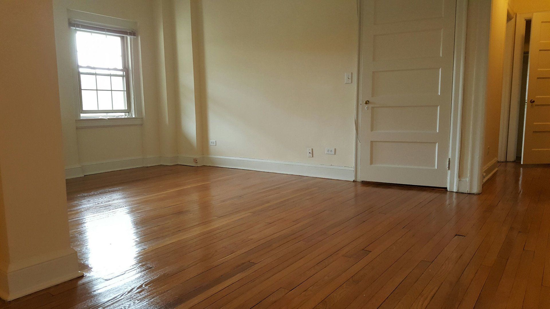 Interior | Wyman Park