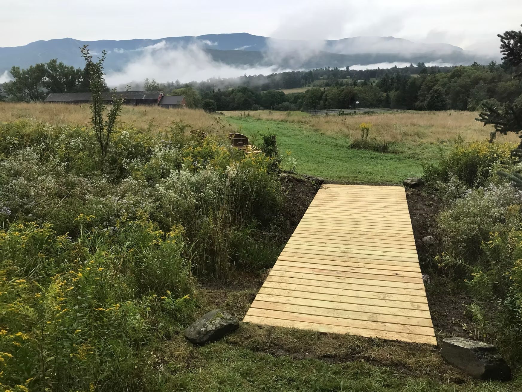 A wooden walkway in the middle of a field with mountains in the background.