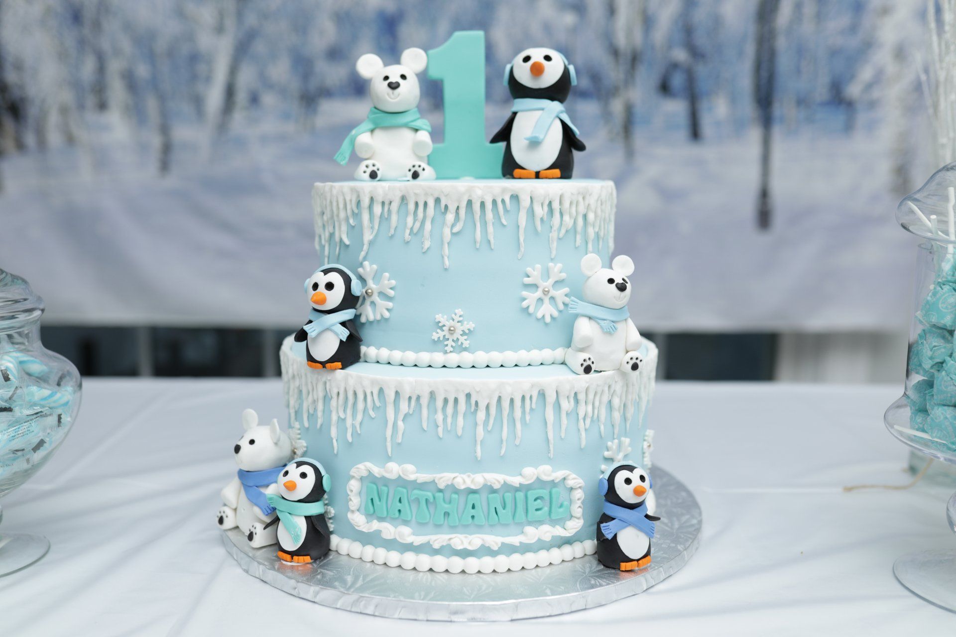 1st Birthday | Baby Boy 1st Birthday | Baby 1 birthday Party Photos | Milestone Birthday | Long Island NYC Photographer | Birthday Party Photographer | Birthday Party Photos