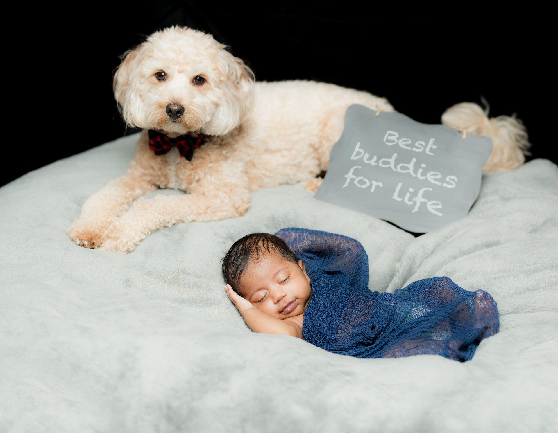 Newborn Photography | NY Lifestyle Newborn Photographer | Swaddle | Baby and Dog Photos | Newborn with Pet Photos NY