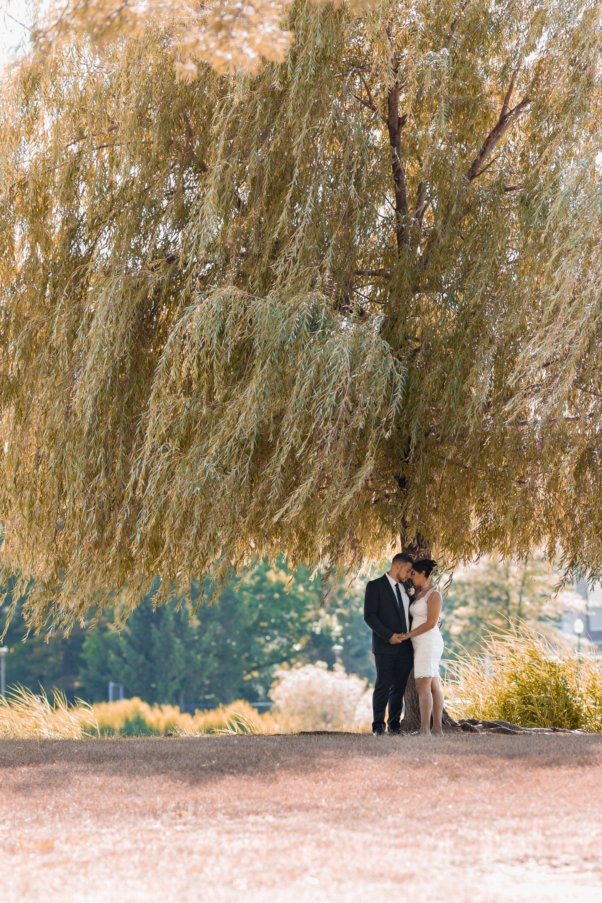 NY City Hall Wedding Photographer NYC | Wedding Poses Photos | Elopement City Hall Photos | NYC Wedding Elopement Photographer
