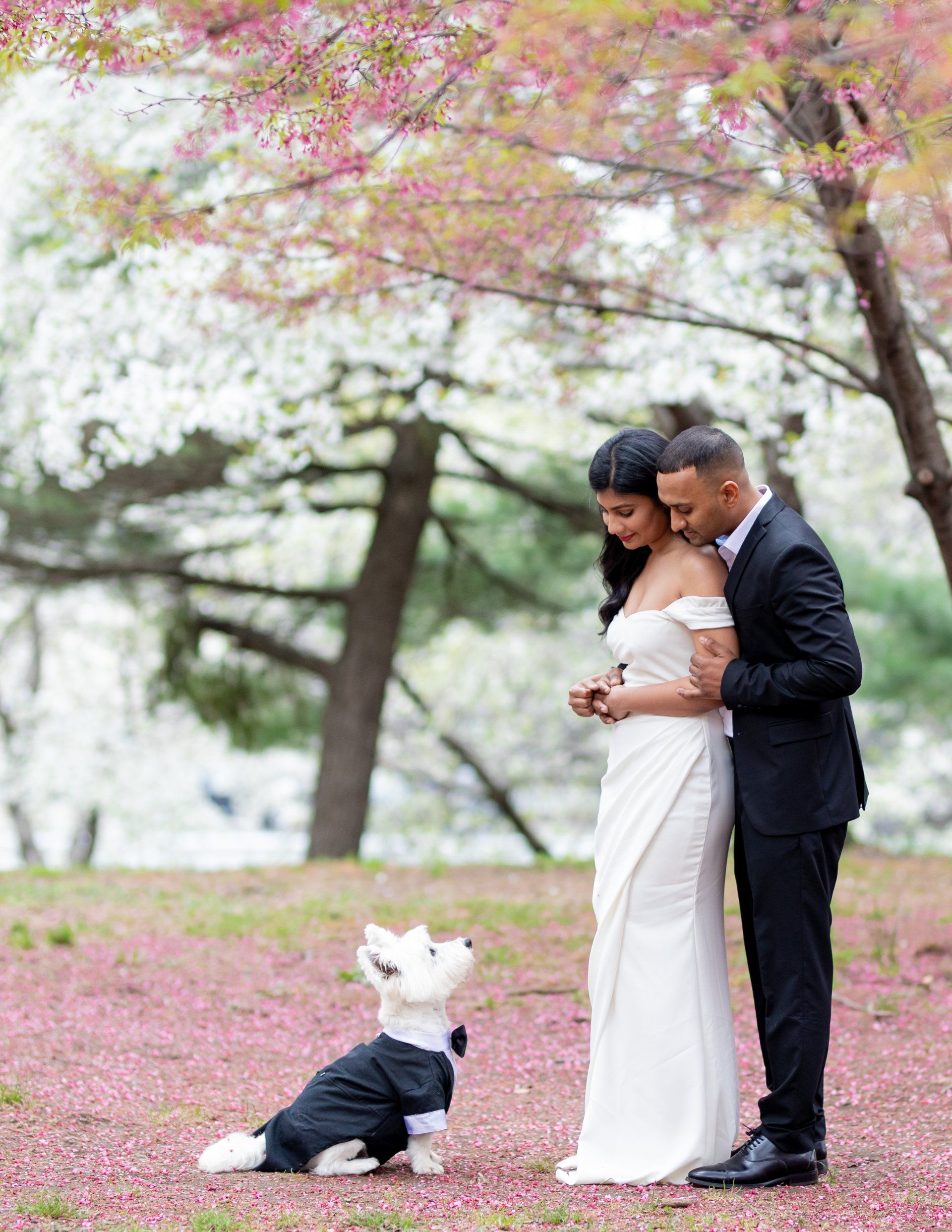 Flushing Meadows Park Globe Waterfall Engagement Photos | Engagement Shoot | Queens NYC Engagement Photographer | Outdoor Couples Shoot | Japanese Cherry Blossom | Japanese Cherry Blossom Engagement Shoot