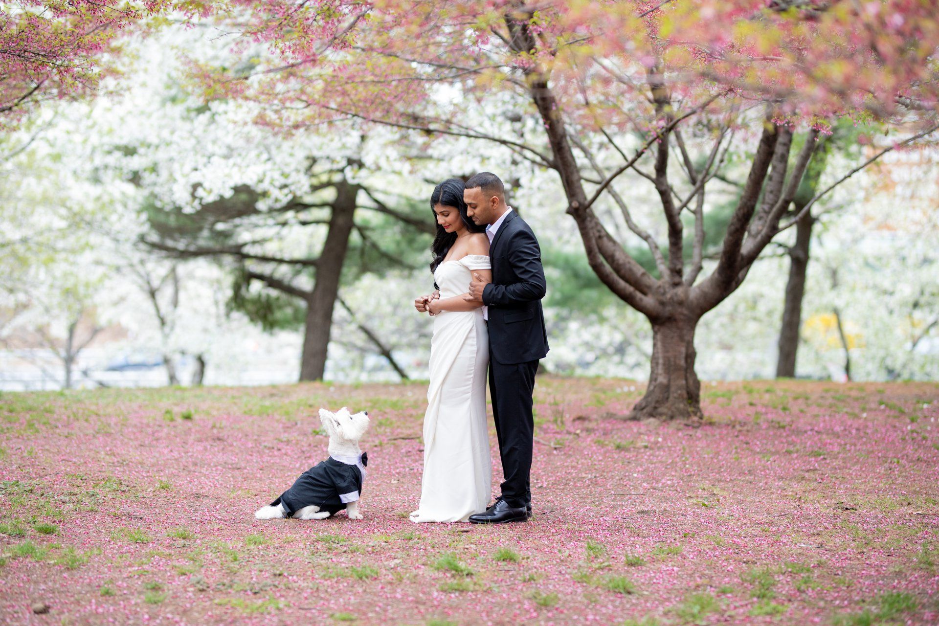 Best Engagement Photographer NY | Best NY Long Island Queens Brooklyn Bronx NJ Photographer |  Engagement Photo Shoots