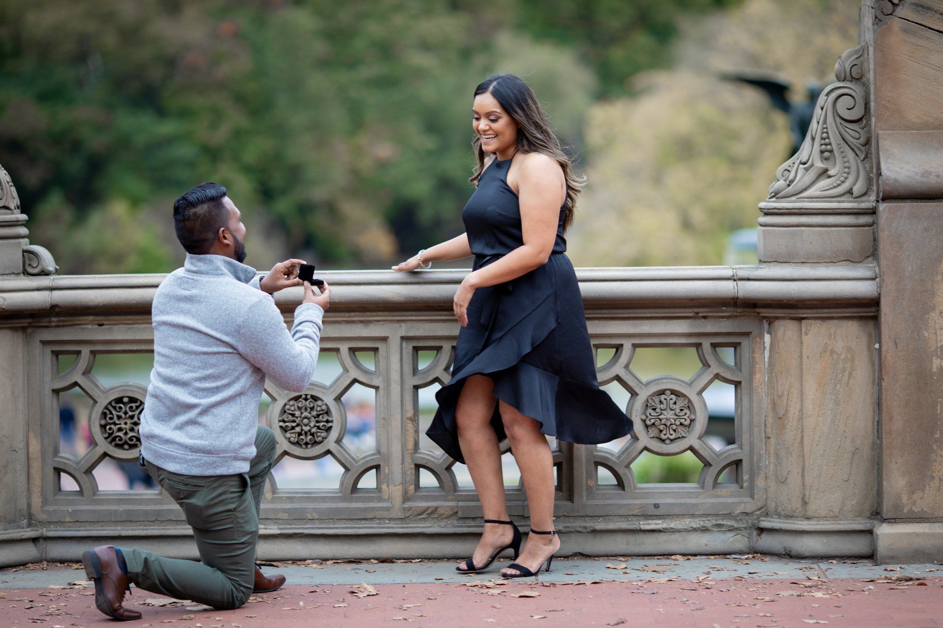 Outdoor Central Park Proposal Engagement Photos | Outdoor Central Park Proposal Engagement Shoot | Manhattan NYC Long Island NY Central Park Proposal Engagement Photographer | Central Park Outdoor Proposal Couples Shoot