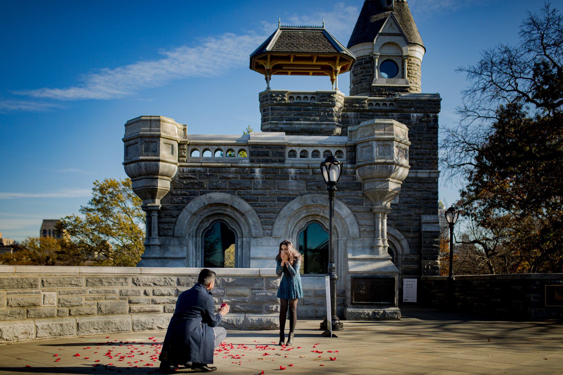 Outdoor Central Park Proposal Engagement Photos | Outdoor Central Park Proposal Engagement Shoot | Manhattan NYC Long Island NY Central Park Proposal Engagement Photographer | Central Park Outdoor Proposal Couples Shoot