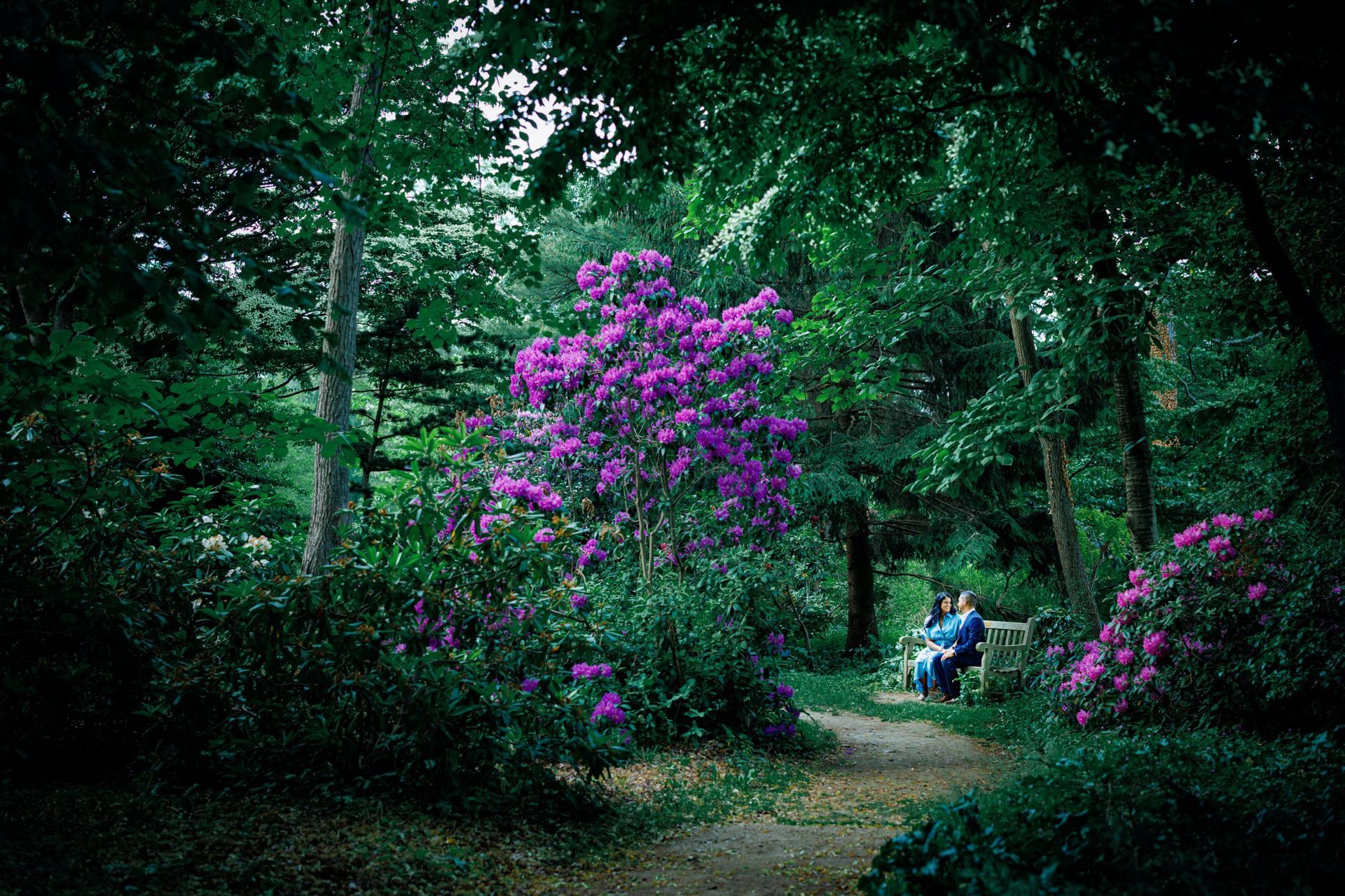 Engagement Photos | Engagement Shoot | NYC Engagement Photographer | Couples Shoot | Outdoor Engagement Photoshoot | Outdoor Park Engagement Photographer NY | Best Engagement Photographer