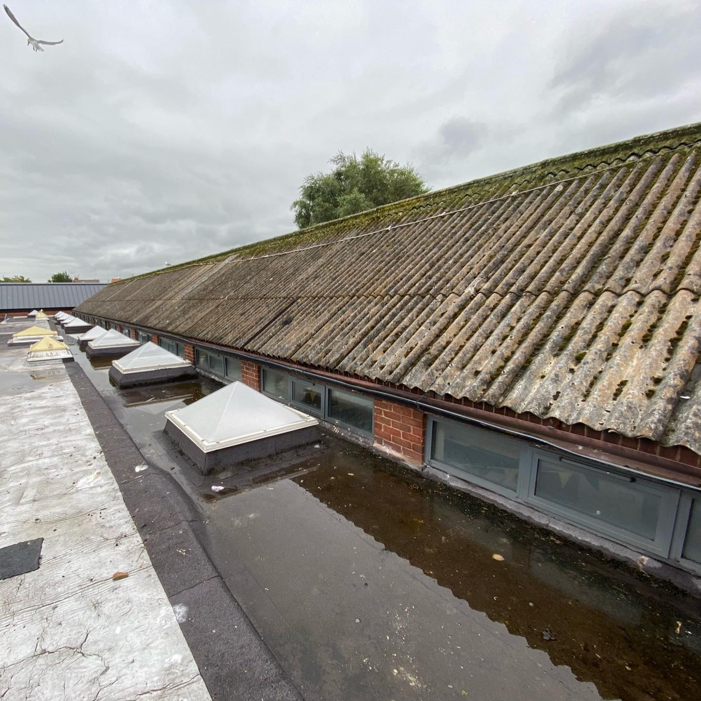 replacing old asbestos roof