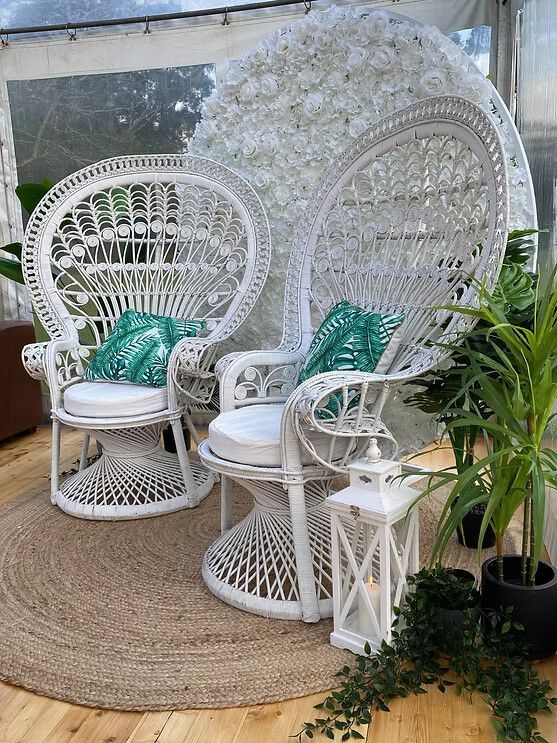 Peacock Chairs ― Central Coast Events in Berkeley Vale, NSW