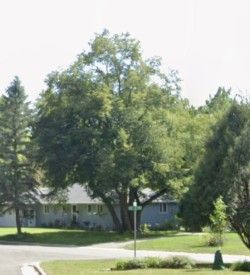 A house with a lot of trees in front of it