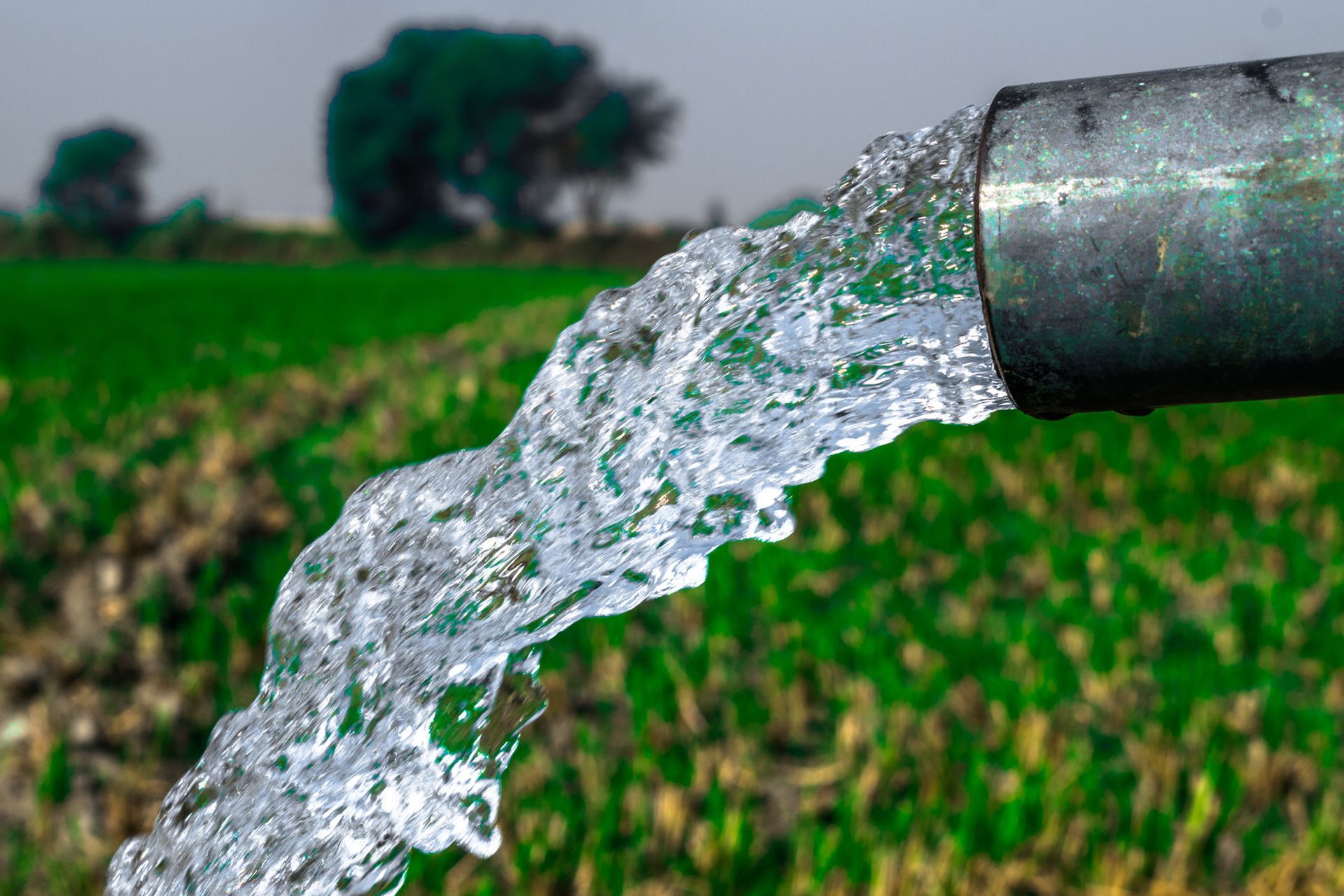 Water is coming out of a pipe in a field.